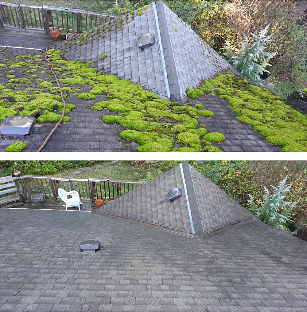 Before and after pics of another successful islandCLEAN roof de-mossing
