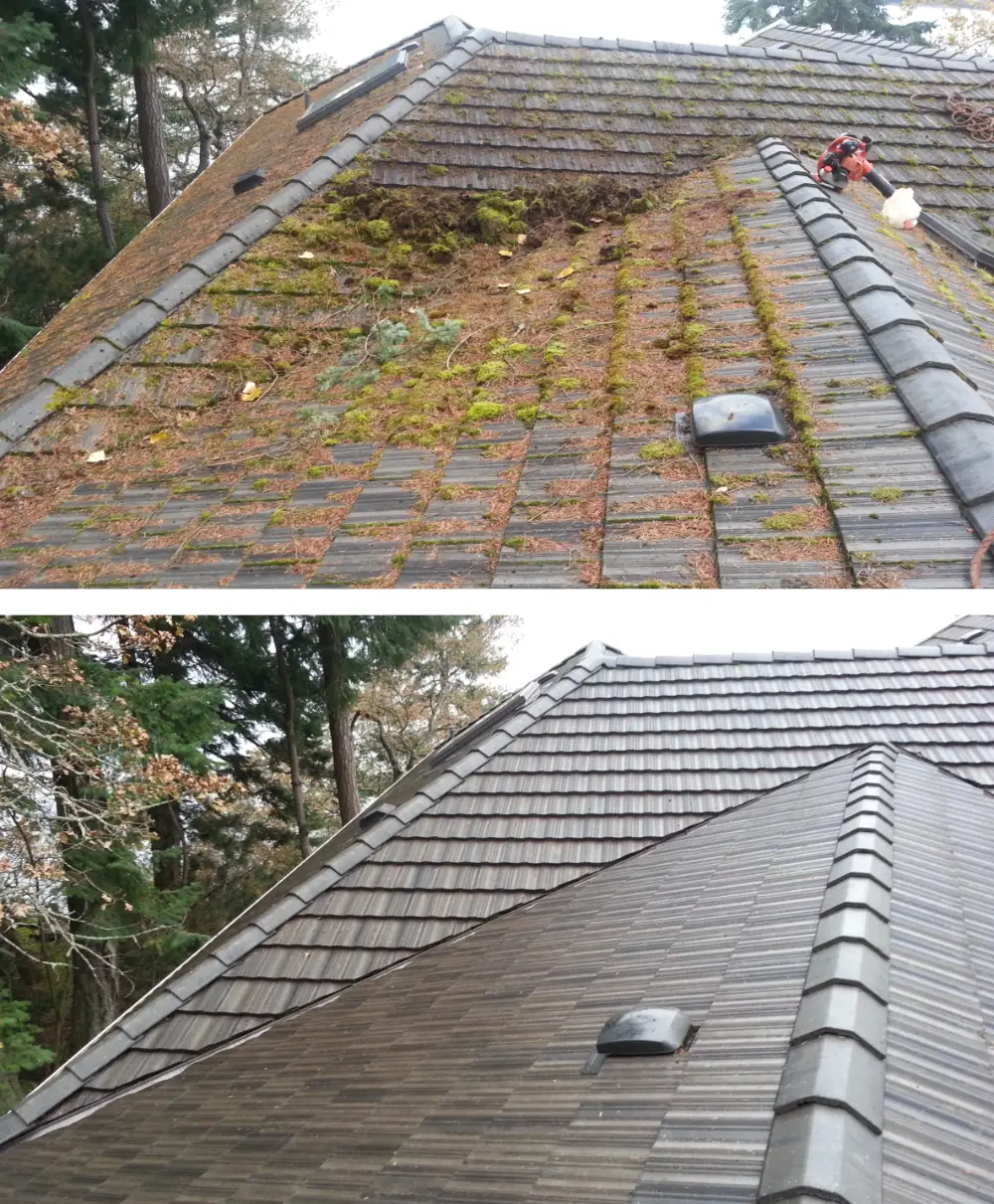 Before and after pics of another successful islandCLEAN roof de-mossing