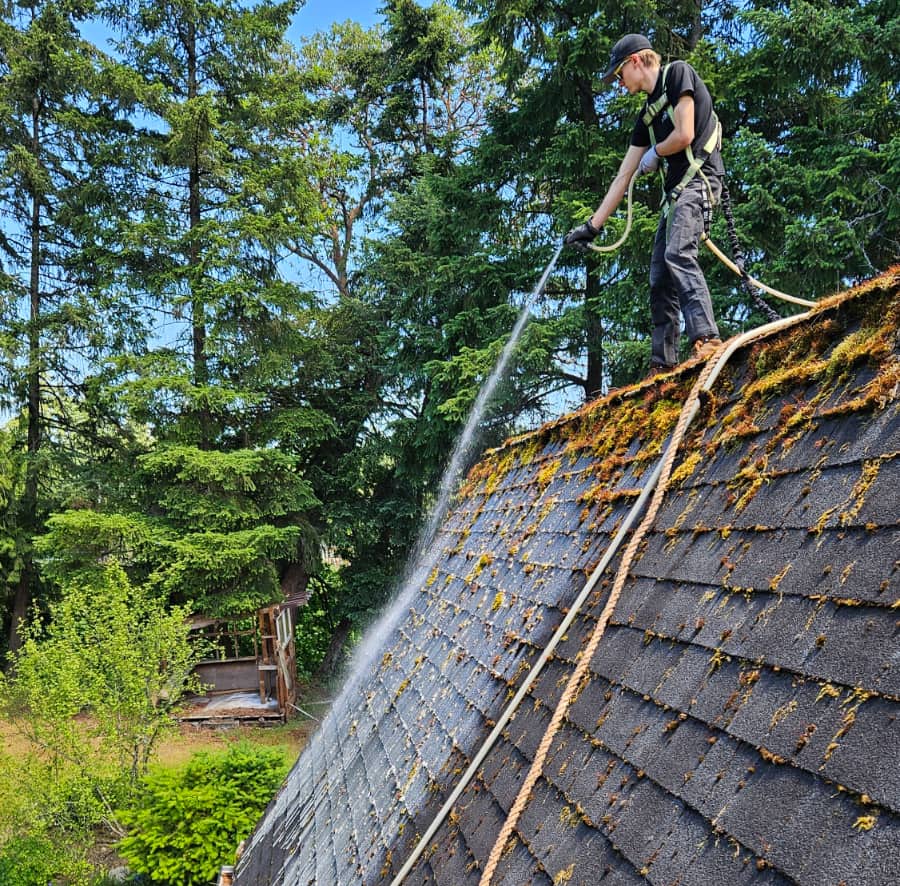 islandCLEAN crew member on peak of roof spraying moss off the roof